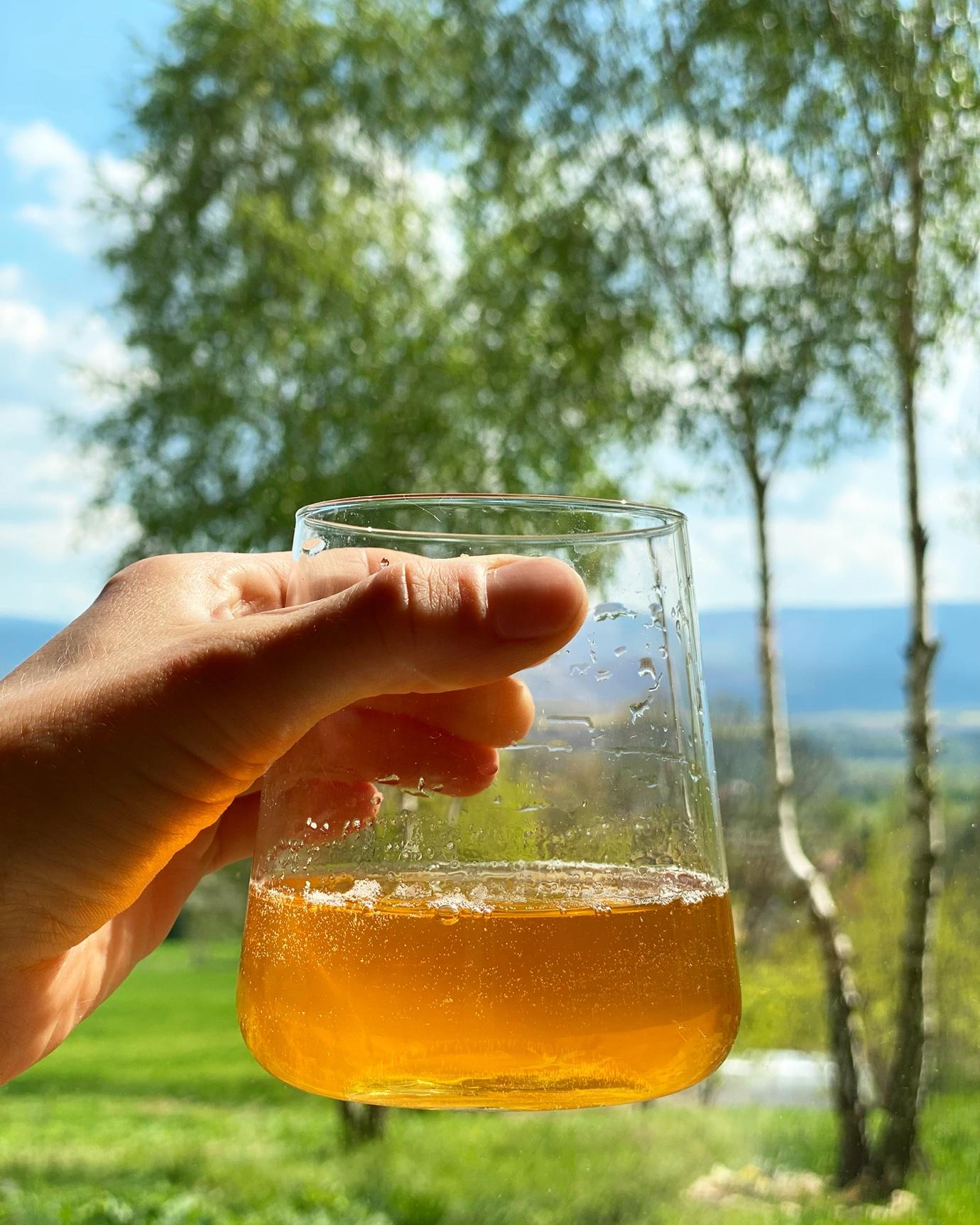 Historia kombuchy | Blog Local Kombucha