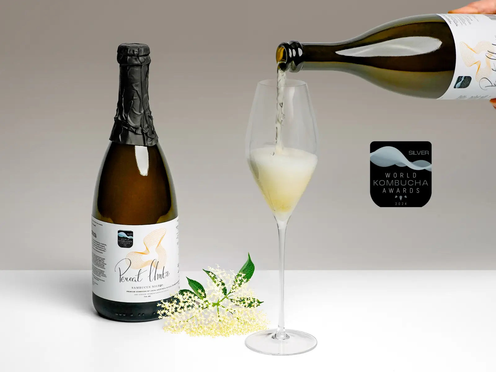 Pereat Umbra - Sambucus nigra