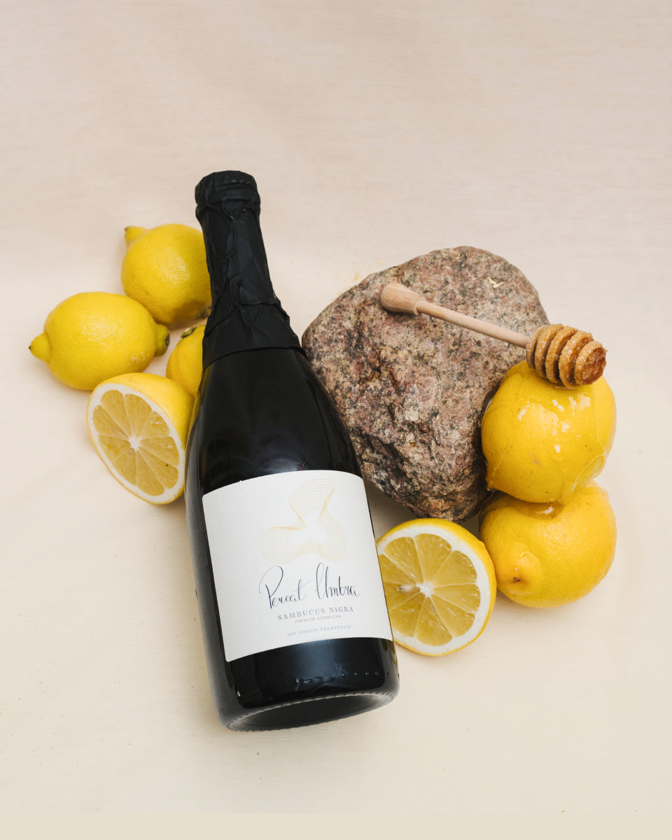 Pereat Umbra - Sambucus nigra - Local Kombucha